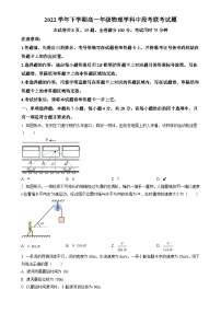 广东省广东市番禺区高一下学期期中联考物理试题（原卷版）-A4