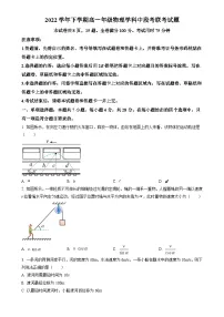 广东省广东市番禺区高一下学期期中联考物理试题（原卷版）-A4