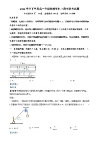 广东省广东市番禺区高一下学期期中联考物理试题（解析版）-A4