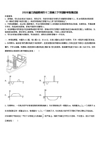 2026届江西省赣州市十二县高三下学期联考物理试题含解析