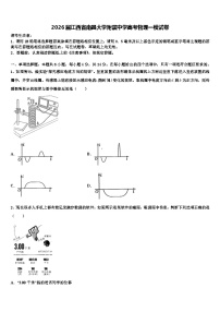 2026届江西省南昌大学附属中学高考物理一模试卷含解析