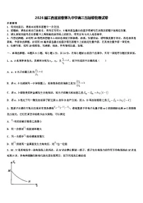 2026届江西省宜春第九中学高三压轴卷物理试卷含解析