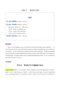 2026年高考物理二轮复习题型专练——磁场综合题（含答案）