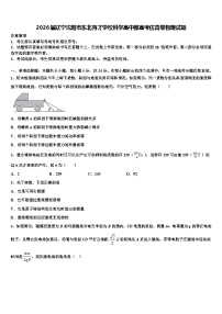 2026届辽宁沈阳市东北育才学校科学高中部高考仿真卷物理试题含解析