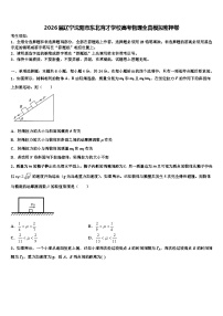 2026届辽宁沈阳市东北育才学校高考物理全真模拟密押卷含解析