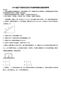 2026届辽宁沈阳市东北育才学校高考物理全真模拟密押卷含解析