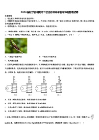 2026届辽宁省朝阳市三校协作体高考临考冲刺物理试卷含解析
