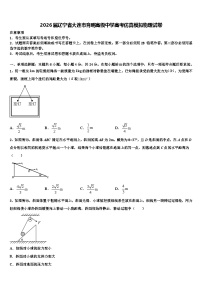 2026届辽宁省大连市育明高级中学高考仿真模拟物理试卷含解析