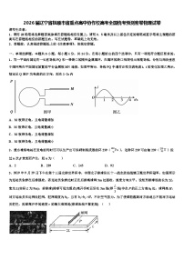 2026届辽宁省抚顺市省重点高中协作校高考全国统考预测密卷物理试卷含解析