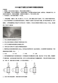 2026届辽宁省普兰店市高考冲刺模拟物理试题含解析
