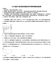 2026届辽宁省沈阳市铁路实验中学高考物理五模试卷含解析