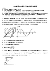 2026届马鞍山市重点中学高三压轴卷物理试卷含解析