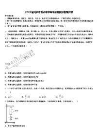 2026届龙岩市重点中学高考仿真模拟物理试卷含解析