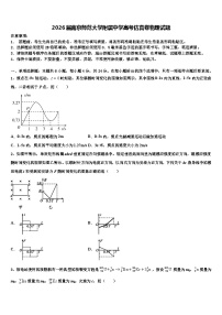 2026届南京师范大学附属中学高考仿真卷物理试题含解析