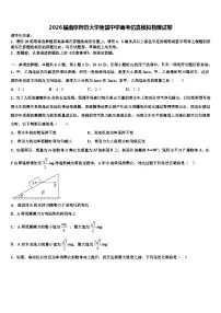 2026届南京师范大学附属中学高考仿真模拟物理试卷含解析