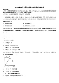 2026届南宁市重点中学高考仿真模拟物理试卷含解析