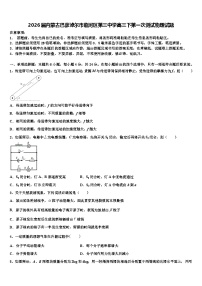 2026届内蒙古巴彦淖尔市临河区第三中学高三下第一次测试物理试题含解析