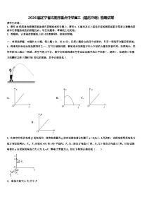 2026届辽宁省沈阳市重点中学高三（最后冲刺）物理试卷含解析