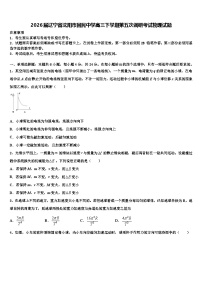 2026届辽宁省沈阳市回民中学高三下学期第五次调研考试物理试题含解析
