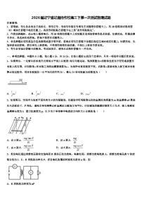 2026届辽宁省辽南协作校高三下第一次测试物理试题含解析