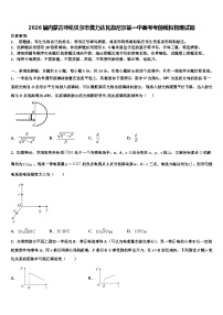 2026届内蒙古呼伦贝尔市莫力达瓦旗尼尔基一中高考考前模拟物理试题含解析