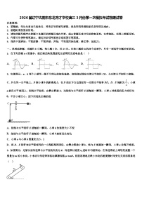 2026届辽宁沈阳市东北育才学校高三3月份第一次模拟考试物理试卷含解析