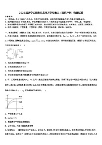 2026届辽宁沈阳市东北育才学校高三（最后冲刺）物理试卷含解析