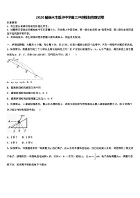 2026届丽水市重点中学高三冲刺模拟物理试卷含解析