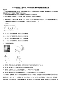 2026届内蒙古赤峰市、呼和浩特市高考考前模拟物理试题含解析