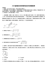 2026届内蒙古赤峰市高考适应性考试物理试卷含解析