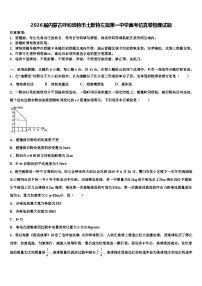 2026届内蒙古呼和浩特市土默特左旗第一中学高考仿真卷物理试题含解析