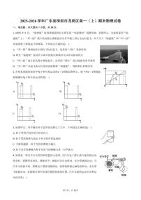 2025-2026学年广东省深圳市龙岗区高一（上）期末物理试卷（含解析）