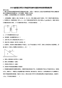 2026届内蒙古师范大学附属学校高考全国统考预测密卷物理试卷含解析