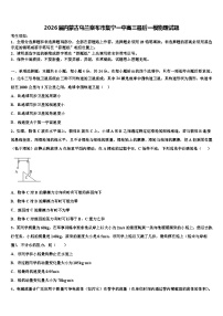 2026届内蒙古乌兰察布市集宁一中高三最后一模物理试题含解析