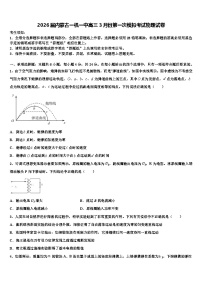 2026届内蒙古一机一中高三3月份第一次模拟考试物理试卷含解析