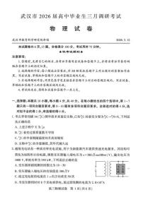 湖北武汉市2026届下学期高三三月调研考试（武汉二调） 物理试卷及答案