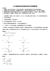2026届内蒙古自治区高考适应性考试物理试卷含解析