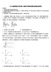 2026届青海省平安区第一高级中学高考物理全真模拟密押卷含解析