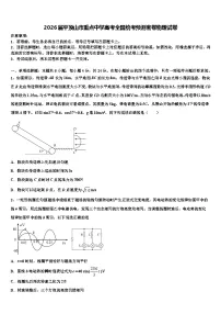 2026届平顶山市重点中学高考全国统考预测密卷物理试卷含解析