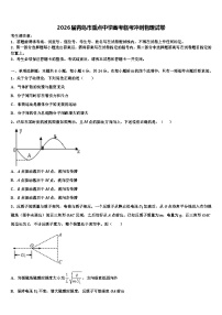 2026届青岛市重点中学高考临考冲刺物理试卷含解析