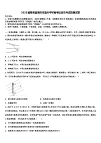 2026届青海省果洛市重点中学高考适应性考试物理试卷含解析