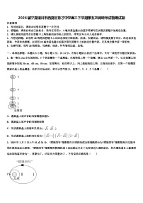 2026届宁夏银川市西夏区育才中学高三下学期第五次调研考试物理试题含解析