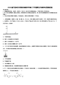 2026届宁夏吴忠市青铜峡高级中学高三下学期第五次调研考试物理试题含解析