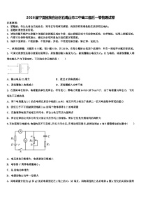 2026届宁夏回族自治区石嘴山市三中高三最后一卷物理试卷含解析