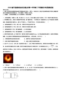 2026届宁夏回族自治区石嘴山市第一中学高三下学期联合考试物理试题含解析
