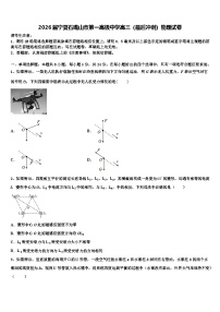 2026届宁夏石嘴山市第一高级中学高三（最后冲刺）物理试卷含解析