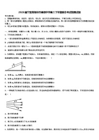 2026届宁夏青铜峡市高级中学高三下学期联合考试物理试题含解析