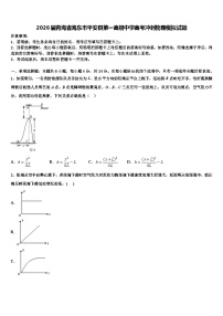 2026届青海省海东市平安县第一高级中学高考冲刺物理模拟试题含解析