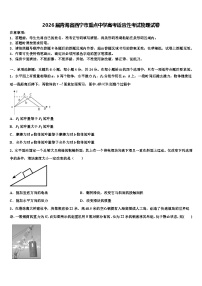 2026届青海省西宁市重点中学高考适应性考试物理试卷含解析