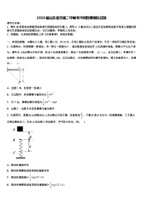2026届山东省济南二中高考冲刺物理模拟试题含解析